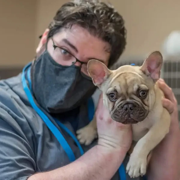 The Pet Hospitals Germantown