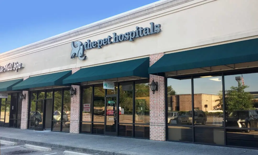 The Pet Hospitals Poplar At Massey
