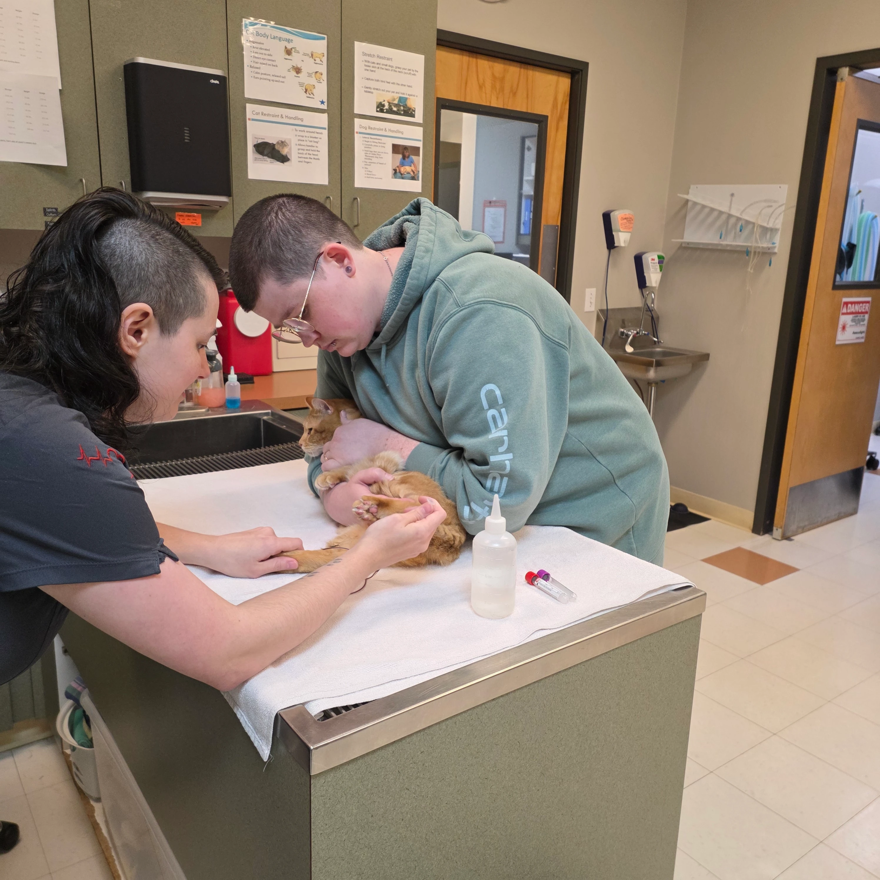 Community Pet Hospital