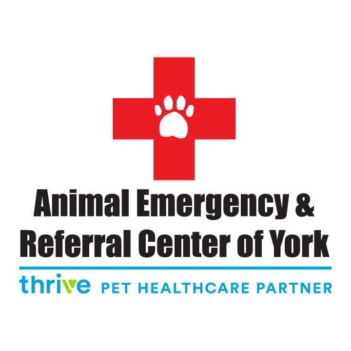 Animal Emergency & Referral Center of York, A Thrive Pet Healthcare Partner