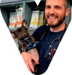 Veterinarian with pet