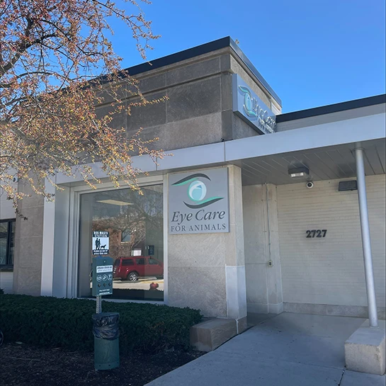 Eye Care For Animals - Chicago