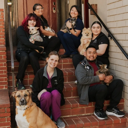 Dermatology for Animals - Oakland