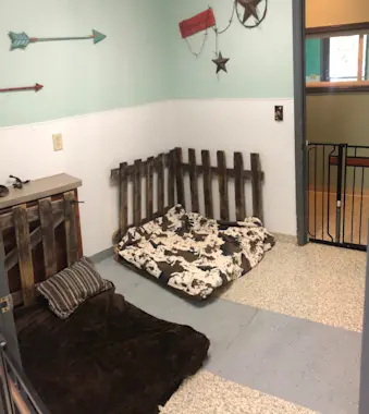 animal medical clinic boarding room