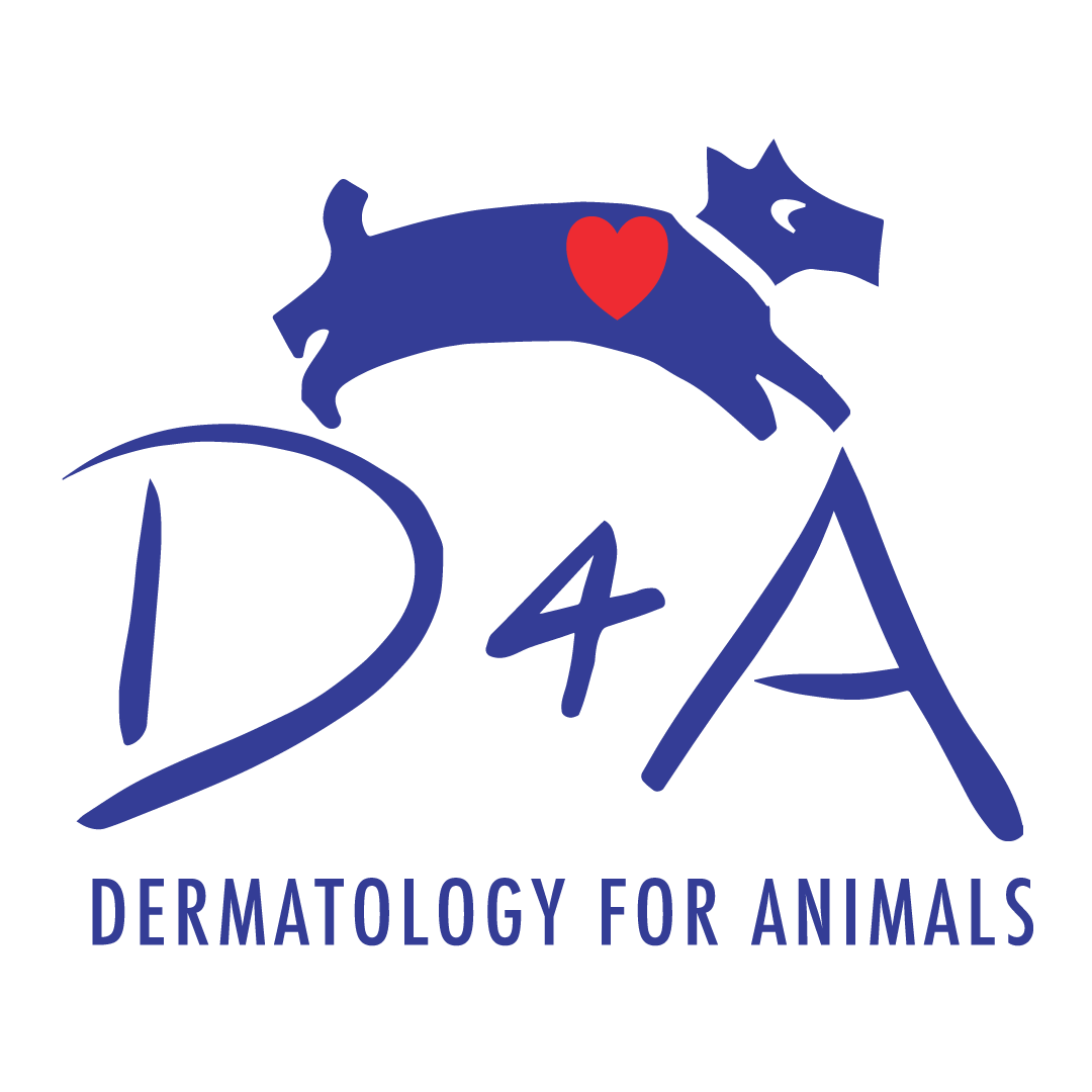 Veterinary Dermatology Catonsville Dermatology for Animals