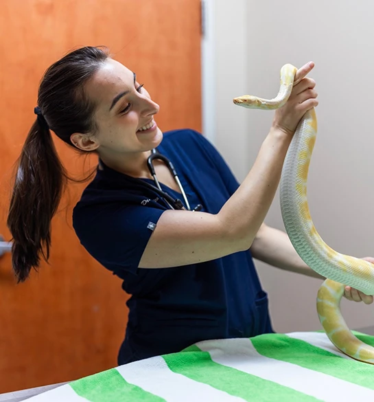 Westside Animal Clinic