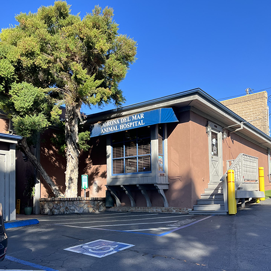 Corona Del Mar Animal Hospital
