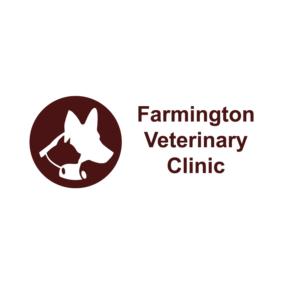 Farmington Veterinary Clinic Thrive Pet Healthcare