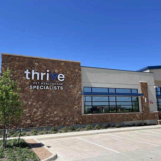 PetCure Oncology Dallas Fort Worth