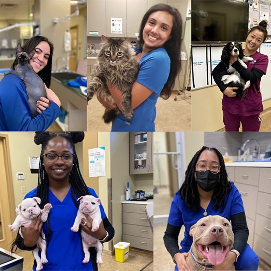 Animal Medical Center of Lawrenceville