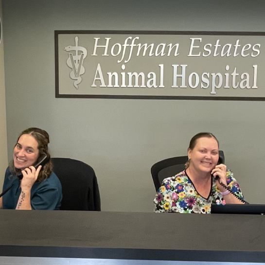 Hoffman Estates Animal Hospital