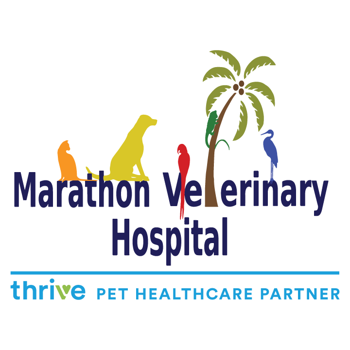 Marathon Veterinary Hospital