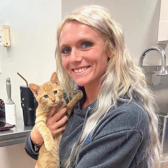 Gentle Care Animal Hospital at Ten Ten