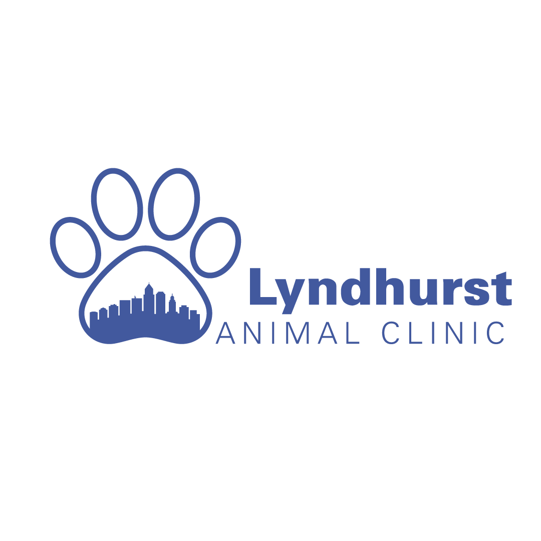 Lyndhurst Animal Clinic Thrive Pet Healthcare