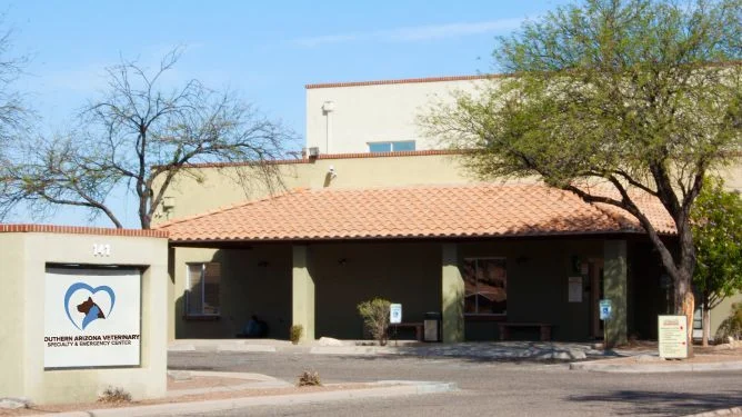 Dermatology for Animals - Tucson