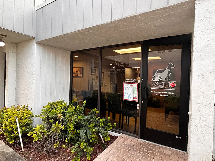 Dermatology for Animals – Palm Beach Gardens