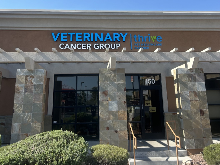 Veterinary Cancer Group Las Vegas