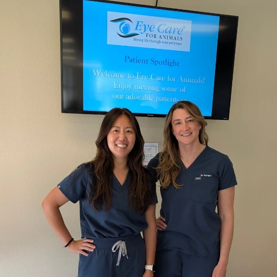 Eye Care For Animals - San Diego