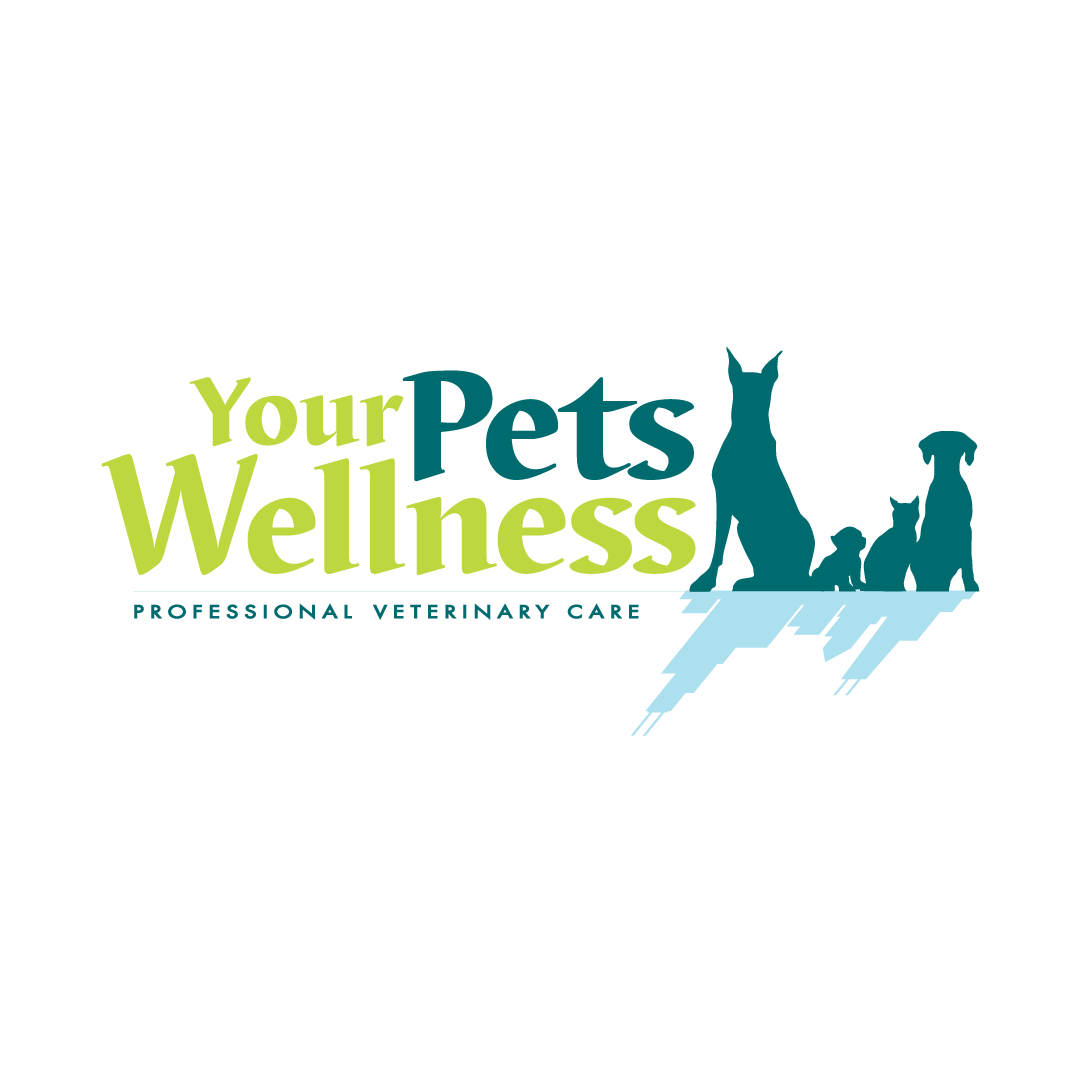 Your Pets Wellness (Logan Square)