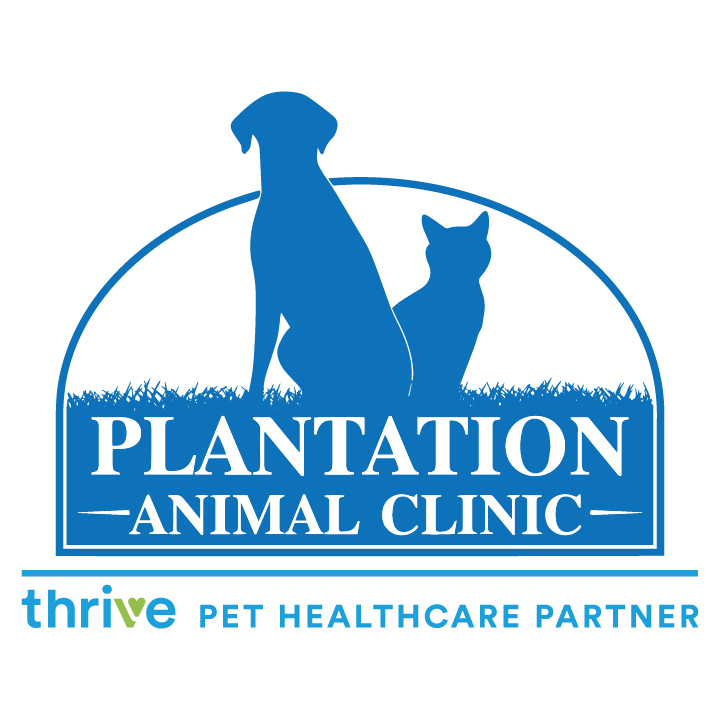 Plantation Animal Clinic