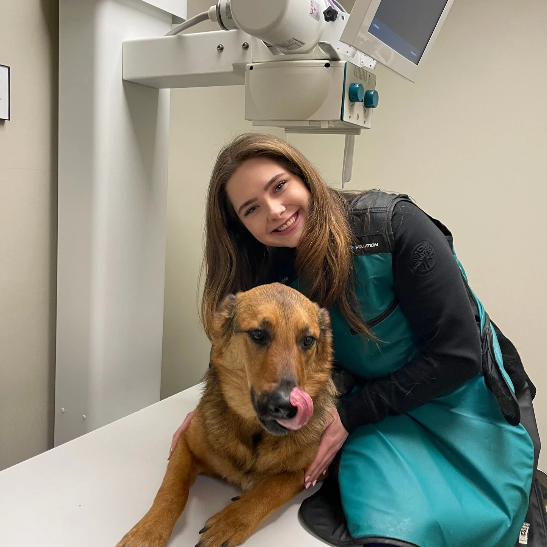 Hoffman Estates Animal Hospital