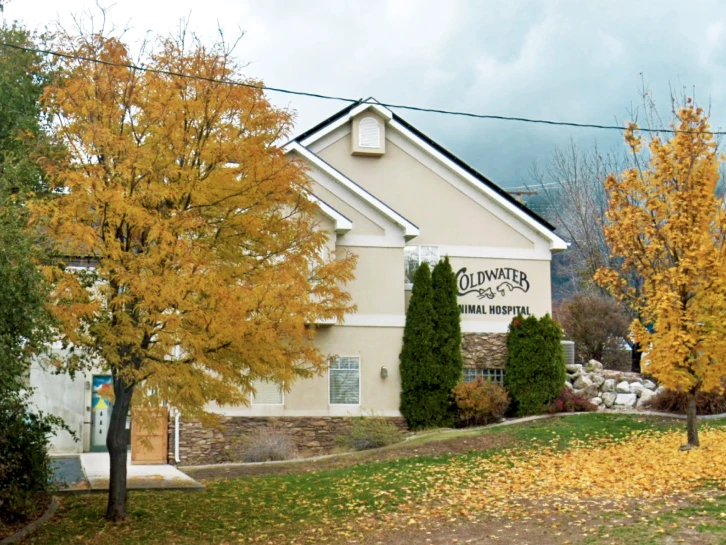 Coldwater Animal Hospital