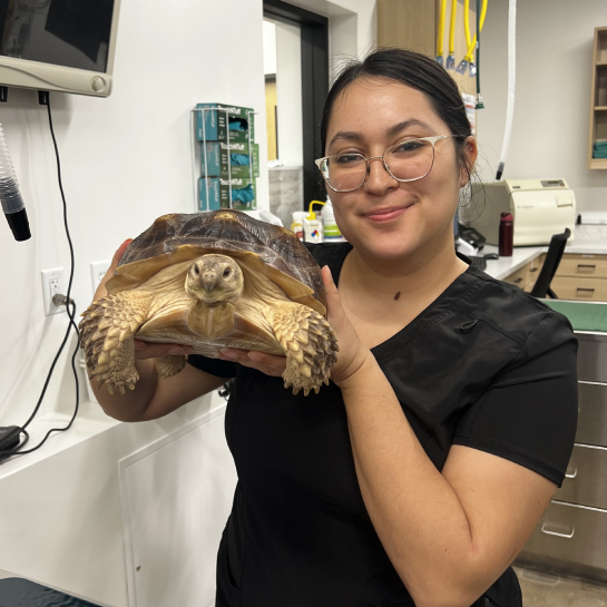Austin Pet & Exotic Hospital