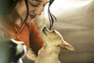 Veterinarian Incentive Plan Thrive Pet Healthcare