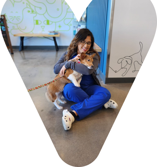 Veterinarian with pet