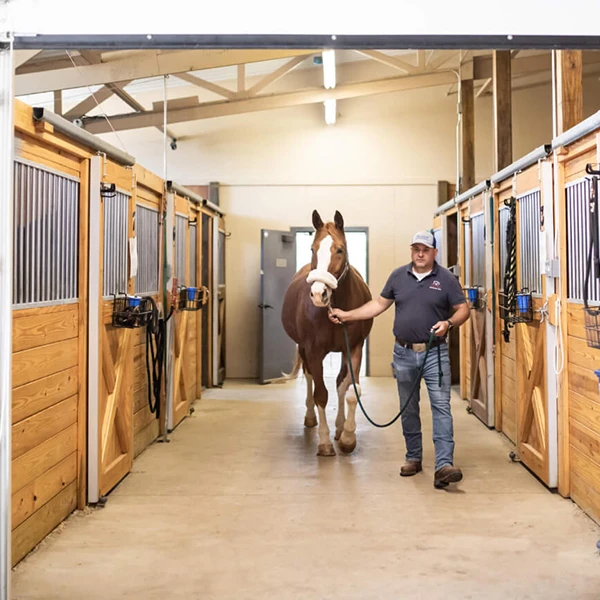 Midwest Veterinary Dental Services