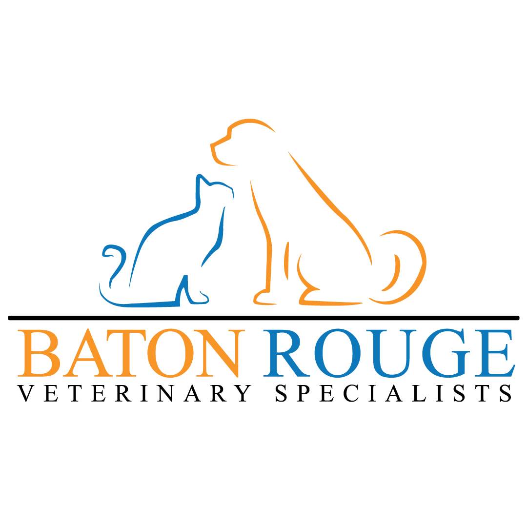 Baton Rouge Veterinary Specialists Thrive Pet Healthcare