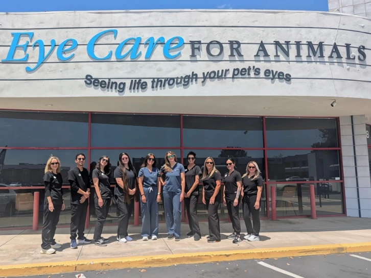 Eye Care For Animals - San Diego