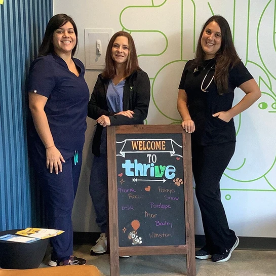 Thrive Pet Healthcare - Coral Springs