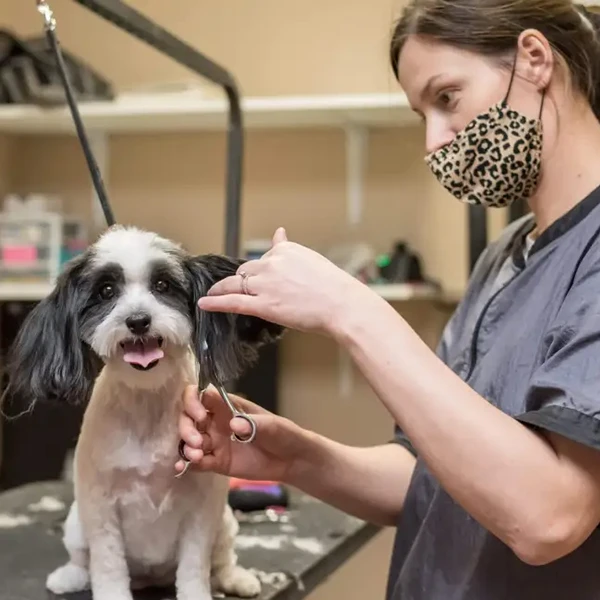 The Pet Hospitals Germantown