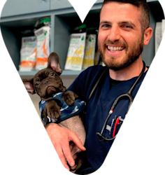 Veterinarian with pet