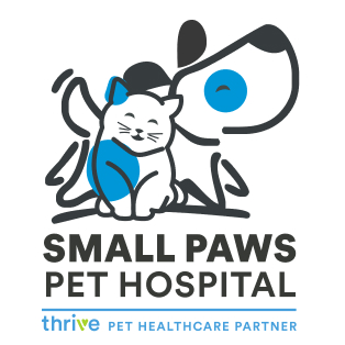 Especially Cats Veterinary Hospital