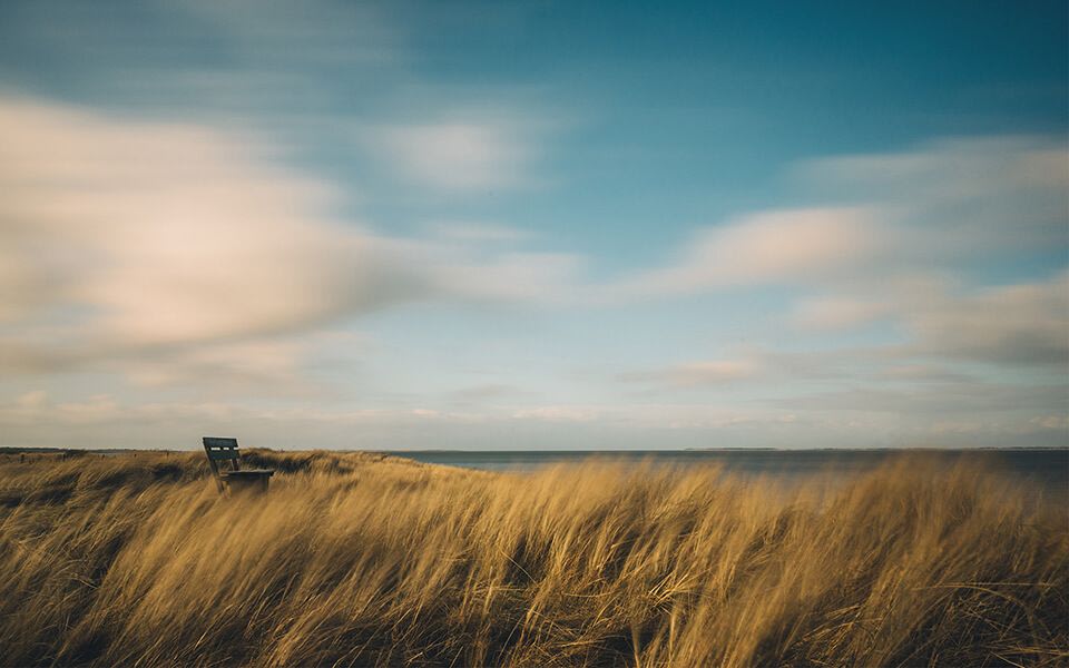 Bild Dünen Meer