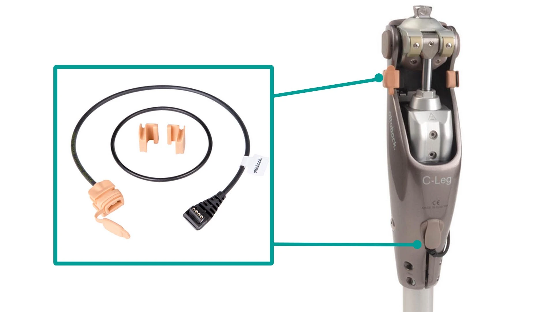 4X157充電延長ケーブル 義足外装3F1ファンクショナルコスメチック C-Leg4/Genium用フォームカバー 外観が自然で綺麗 ニーリング 膝立ち
