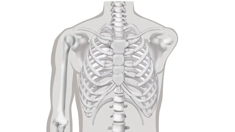 FirstSpiritExport,OBISCM-1557,web_site,medicalcare,prostheses___faqs