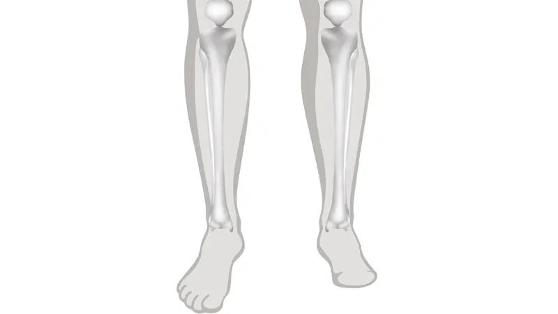 FirstSpiritExport,OBISCM-1557,web_site,prosthetics_2,infos_for_amputees