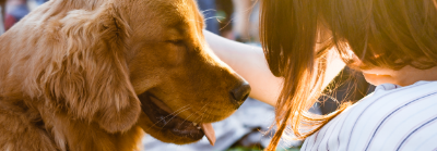 Apartamentos pet friendly y el interiorismo de mascotas