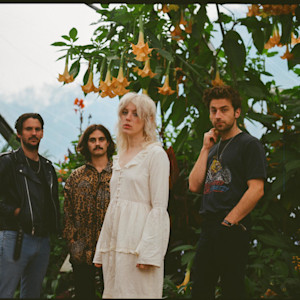 Picture of Black Honey