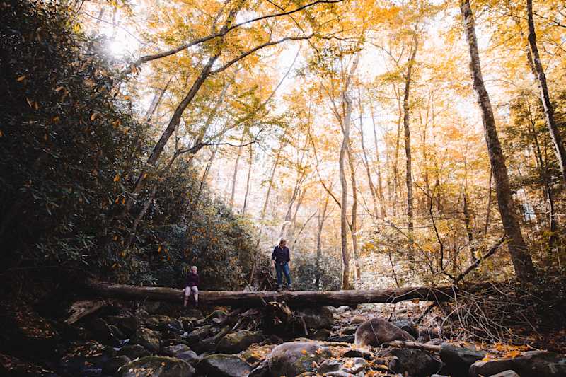 andrew-neel-166825-unsplash no alt available