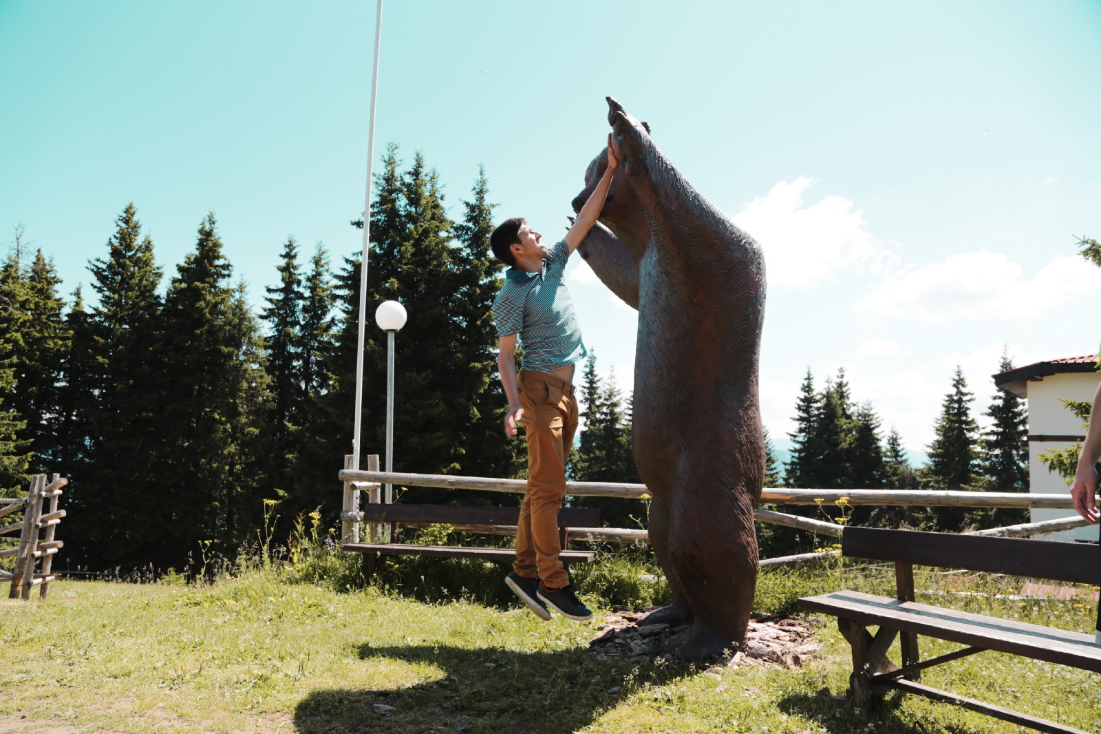 High five a bear!
