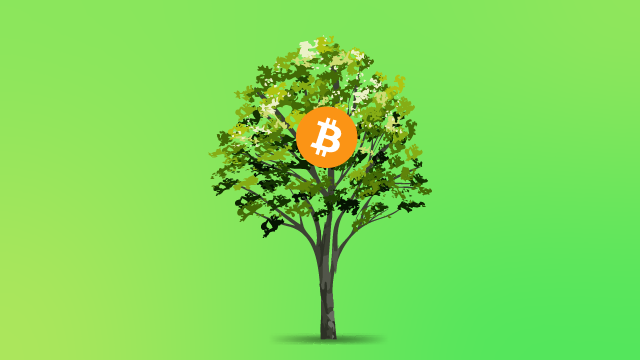 Cover Image for Bitcoin and Sustainability: CoinFlip Celebrates Earth Day