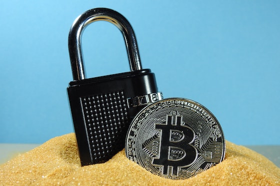 Cover Image for A Low-Risk Inflation Hedge? The Case for Bitcoin as Security Against Financial Downturn