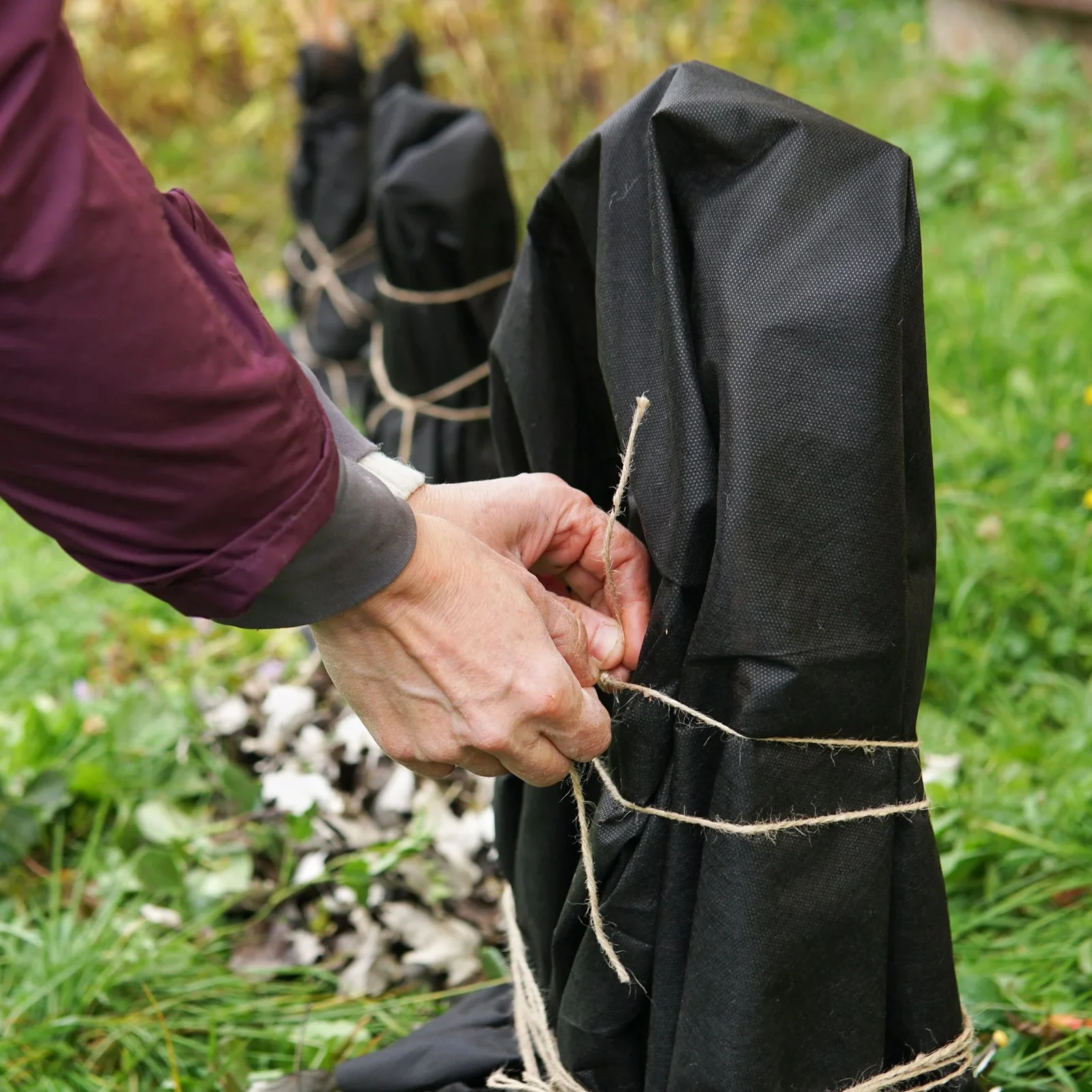 Un homme en train de recouvrir des arbustes dans son jardin