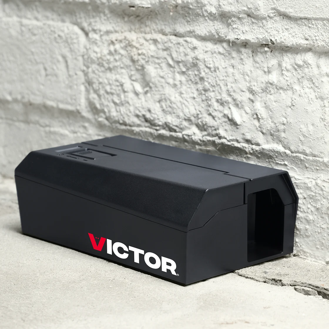 Electronic pest repellent