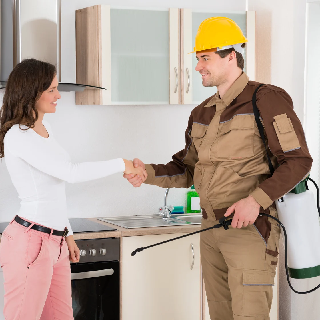 speaking with an exterminator 1120x1120