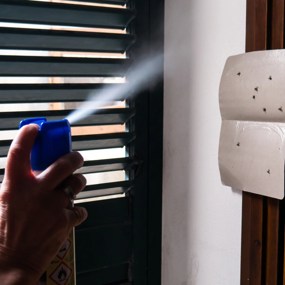 Someone sprays insecticide